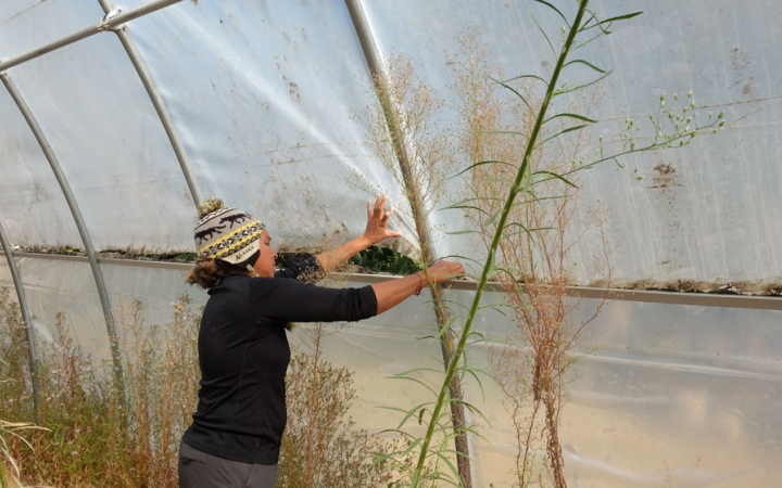 a person works to stabilize a green house during a service project on an outward bound course for bipoc